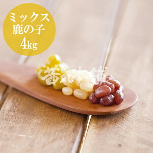  ~bNX̎q x60° 1kg×4P Ɩp  ̂ aَq ޗ  [F ۑ h Y]