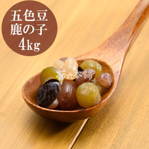 _|Cg5{^  ܐF̎q x60° 1kg ̂  Փ  S ǂ   [F ۑ h Y]