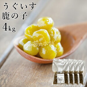  ̎q x60° 4kg 1kg×4P ̂    [F ۑ h Y]