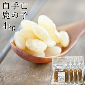 _|Cg5{^  S̎q x60° 1kg×4P ̂ Ɩp   [F ۑ h Y]