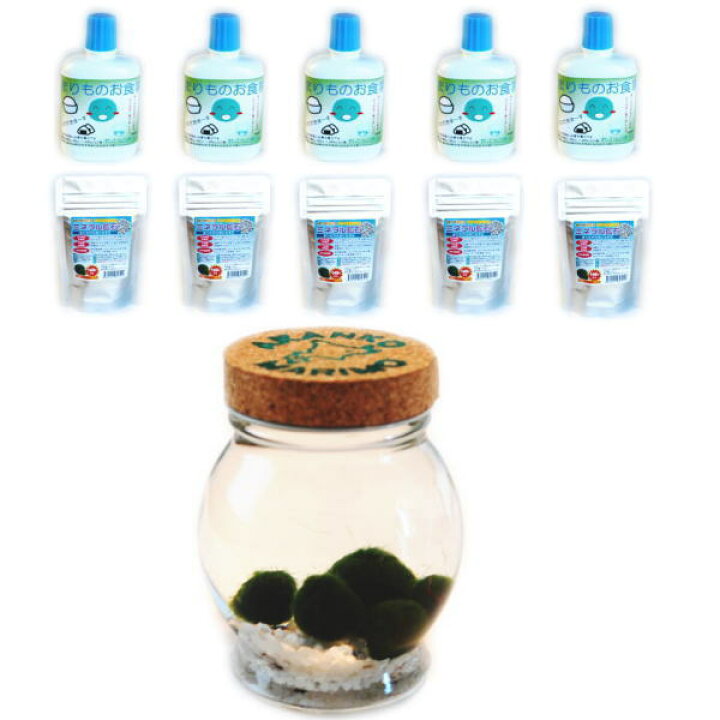 楽天市場 送料無料 養殖マリモ5個 と まりものお食事5個 と ミネラル鉱石5個 のまりも育成セット 水草 植物 アクアリウム 北海道お土産 雑貨小物 グッズ 小物 販売 通販 インテリア 阿寒湖 きりり