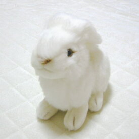 動物　（アニマル）　ぬいぐるみ　うさぎ　ホワイト