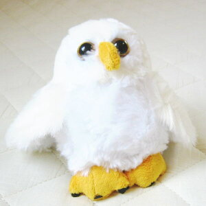 @iAj}j@ʂ݁@ӂ낤@izCgj