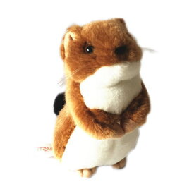 楽天市場 オコジョ ぬいぐるみの通販