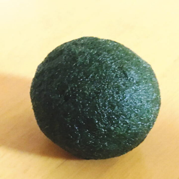 楽天市場 送料無料 水道水で育つ 養殖まりも超特大サイズ１個入り 水草 植物 アクアリウム 毬藻 まりも育成説明書付 グリーン 緑 癒し ビッグ 北海道 お土産 おみやげ 雑貨 グッズ アイテム アクアリウム マリモ 阿寒湖 きりり