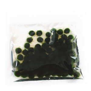  {B܂@STCY@100@y@A@ANAE@Sҁ@@ȒP@kC@yY@݂₰@{@pbN@܂Ƃߔ@ʁz