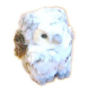 @X̂ȒԂ@ʂ݁@ӂ낤@S@@tNE@@@Ƃ@D݁@G݁@@쒹@g@ObY@NX}X@a@LO@v[g@