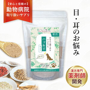 yN[|sIzya@戵znbLTv ڂ̑  VjA ۂ₭ pTvg V ӂ肩 pTv Ԕ ybga Y VRf V