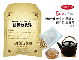 排膿散及湯 ハイノウサンキュウトウ【メール便送料無料】お手軽煎じ薬5日分15包 蓄膿症 鼻炎 感冒時における鼻づまり アレルギー性鼻炎 化膿性皮膚疾患 歯肉炎 扁桃炎 薬局製剤 はいのうさんきゅうとう