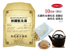 排膿散及湯 ハイノウサンキュウトウ【送料無料】お手軽煎じ薬10日分30包 蓄膿症 鼻炎 感冒時における鼻づまり アレルギー性鼻炎 化膿性皮膚疾患 歯肉炎 扁桃炎 薬局製剤 はいのうさんきゅうとう