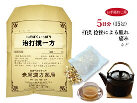 治打撲一方 ヂダボクイッポウ 薬局製剤 お手軽煎じ薬5日分15包 【メール便送料無料】 漢方薬 漢方 薬 打撲 捻挫 腫れ 痛み 打撲痛 捻挫痛 疼痛 煎じ薬 じだぼくいっぽう ジダボクイッポウ ぢだぼくいっぽう