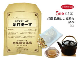 治打撲一方　ヂダボクイッポウ【メール便送料無料】お手軽煎じ薬5日分15包　打撲　捻挫　腫れ　痛み　薬局製剤　じだぼくいっぽう　ジダボクイッポウ　ぢだぼくいっぽう