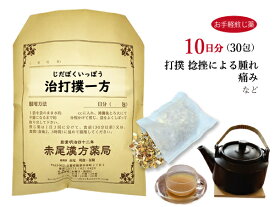 治打撲一方 ヂダボクイッポウ【送料無料】お手軽煎じ薬10日分30包 打撲 捻挫 腫れ 痛み 薬局製剤 じだぼくいっぽう ジダボクイッポウ ぢだぼくいっぽう