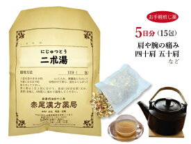 二朮湯 ニジュツトウ【メール便送料無料】お手軽煎じ薬5日分15包 肩や腕の痛み 四十肩 五十肩 薬局製剤 にじゅつとう