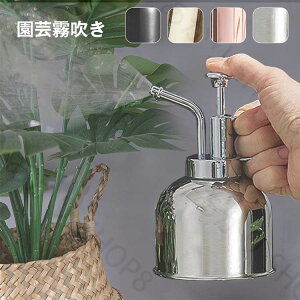  |p 300ml XeX CeA  傤  | | U ϗtA