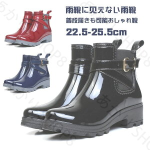 Cu[c CV[Y JC u[c fB[X h JWA V[g TChSA  ꂢ ~J  ɂ TChSAu[c V[gu[c ₷ n J J