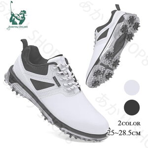 StV[Y Y XpCNt   傫TCY 4E L tBbg V[Y St Xj[J[ y ₷ ₷ ʋC h ϋv R hL Â炢 K 