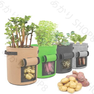 sDz|bg 3Zbg v^[ WKC͔| ͔| Ⴊ ͔|  瑣i Ⴊ A̓obO A琬 ؍͔| sDz|bg A ͔|obO  | sDz 