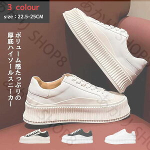 {vXj[J[fB[XXj[J[ ʊw₷_CGbgXj[J[fB[XEH[LOV[Yy ₷ ɂȂtV샌fB[X Xj[J[ jOV