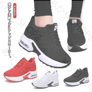 fB[X Xj[J[  Xj[J[ Cq[ ʋC Xj[J[ C q[9cm  V[Y fB[XV[Y ؍ nCJbg fB[X C Xj[J[ vbgtH[ L