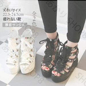 T_ T}[u[c   XG[h V[Y q[ [XAbv fB[X tbgT_ 傫TCY