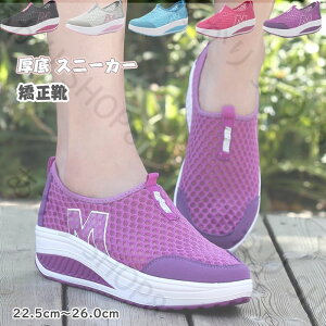   Xj[J[ fB[X _CGbgV[Y i[XV[Y  D^ EH[LOV[Y p T_ fB[X _X  WYV[Y ʋC r JW