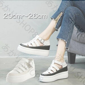 ou[V Xj[J[  nCq[ EFbW\[ Cq[  zCg RtH[g 20cm 20.5cm 21cm 21.5cm 22cm 22.5cm 23cm 23.5cm 24cm 24.5cm 25cm fB[X C