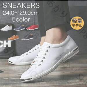 y Xj[J[ Y tFCNU[  V[Y [Jbg lC C ʋ ʊw jp  Sn