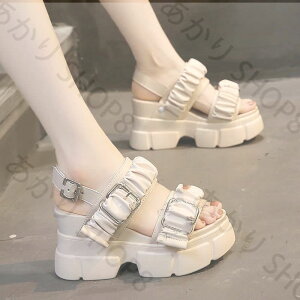 T_ fB[XT_ ₷ Ȃ ʋC KȗSn r JWA 킢  CX^lC ʋΒʊw h ][g s  9cm