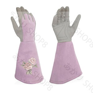 K[fO[u |  o gQh~ K[f [YO[u |p O[u fB[X ԕ   O