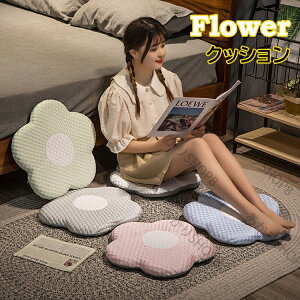 t[ V[gNbV킢 zc ėp ڐG⊴ ʋC  `FApbh ʃNbV Sn  wp q Mtg v[g 5F sN O[ u[ O