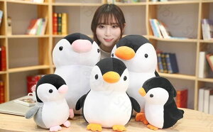 ʂ  yM25cm