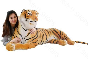 A ^CK[  ʂ  g@CeA@170cm