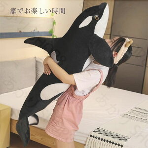 V` NW  ʂ  V`  ~@ 傫 킢 Cm@@_炩 ӂӂ q ޏ FB j a@LO 蕨 v[g Mtg 