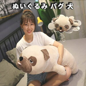 ʂ pO     _炩 v[g YQ  u Ƌ̑85cm