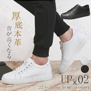 Y Xj[J[ V[NbgV[Y C 5CMAbv tďH {v  ʋ ʊw wȂ Xj[J[ gAbv WMO g[jO ₷ Cq[ V[NbgX