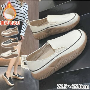  Xb| O Xj[J[ fB[X C Xb| y y  fB[X Xb|  C nCJbgXj[J[  fB[X tďH~