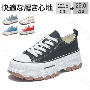  Xj[J[  INSlC _bhXj[J[ fB[XV[Y  6cm UP V[Y y EH[LOV[Y ؍ JWA V[Y gAbv  r 