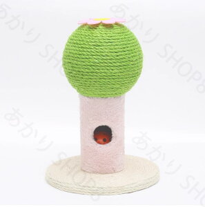  Lbg^[ JN^X T{e^Cv T{e ̃T{e {[ ܂Ƃ ܂Ƃ|[ L ˂  ybgp   Vn XgXU ^s