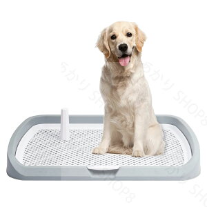 ^gC pgC gC  EH[   |[ ybggCC[ Ch }[LO|[tgC g[ t`t g[jO  ^ bV 