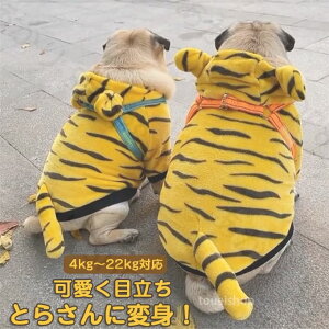  x  g ^ ^ Ƃ   2022N  VN N x  RX`[ RXv t[ht hbOEGA  Ck   킢  NX}X p[e