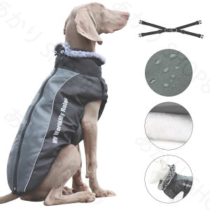 @ L~ ybgXL[EFA R[gh R[g WPbg ^ ^ hbOEFA ~@ XL[EFA RbgxXg ybgxXg@XL-6XL傫TCY