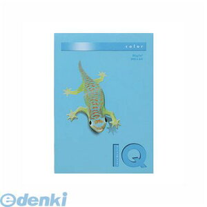 ɓ BT518 ANAu[ oCIgbvJ[A4 500 BT518ANAu[