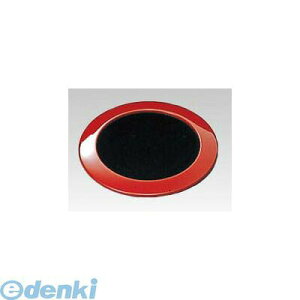 5319400 �a�� ���� �R�[�X�^�[ ��^���� 4548170118805