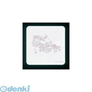 7019400 �a���R�[�X�^�[ �l�G �p�^�i50�����jWCO�|K3 �� 4560164137579