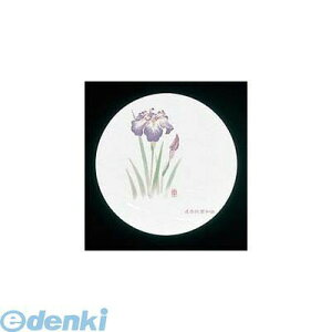 7020700 �a���R�[�X�^�[ �l�G �ی^�i50�����jWCO�|M4 ����� 4560164137715