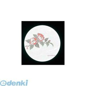 7021200 �a���R�[�X�^�[ �l�G �ی^�i50�����jWCO�|M9 �� 4560164137760