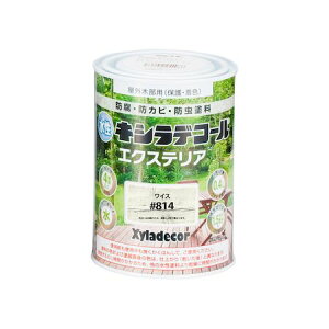 JynsI 00047670380000 LVfR[ GNXeAS CX 0D4LyLZsz