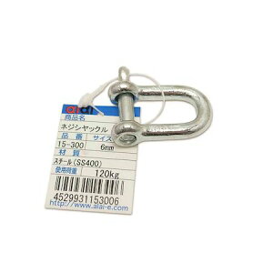 (LINE�N�[�|���L)aiai 4529931153006 15�|300 �l�W�V���b�N�� 6mm �A�C�A�C WAKI ���[�v