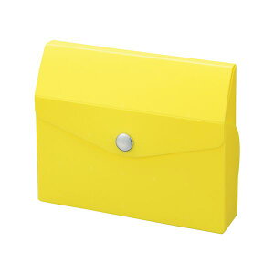 ���q�g���u LIHIT LAB. A6003-5 CUBE FIZZ �J�[�h�P�[�X �C�G���[ A60035